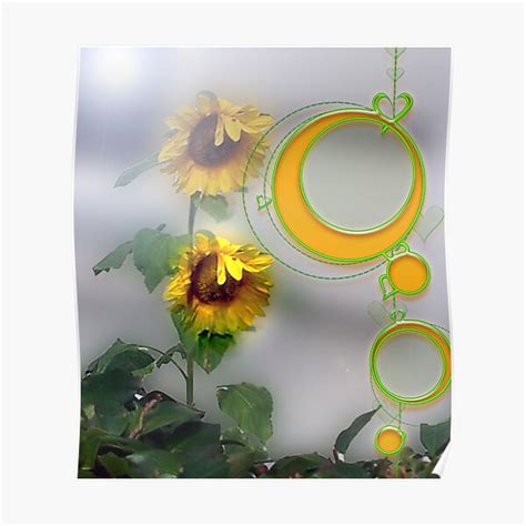 Sunflower 2 Poster For Sale By Annabellerockz Redbubble