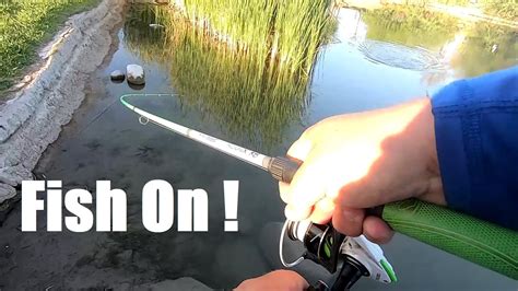 Pond Hopping Arizona Urban Spots Fishing For Bass Youtube