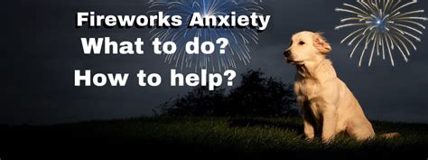 Dog Fireworks Anxiety Archives Dog Behaviorist Near Me