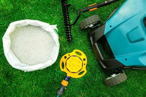 How To Revive Your Lawn After A Long Winter Fit Turf