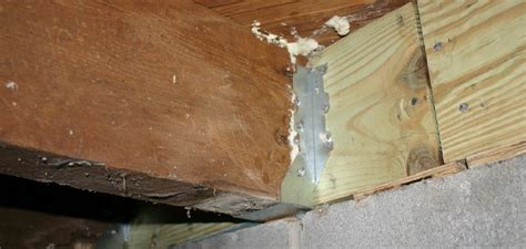 How To Support Ceiling Joists From Above Tips