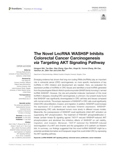 Pdf The Novel Lncrna Wash P Inhibits Colorectal Cancer Carcinogenesis