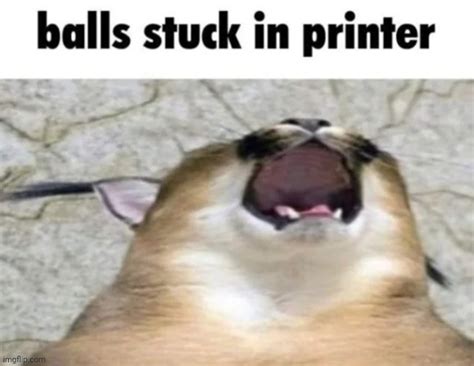 Balls Stuck In Printer Imgflip