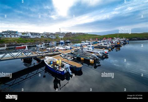 Early Morning View Of Small Fishing Harbour At Hamnavoe Shetland