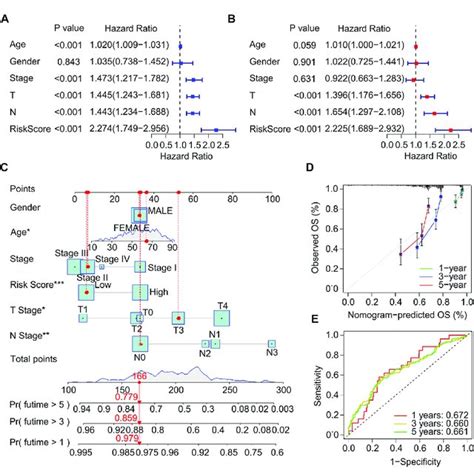 Independent Prognostic Analysis Of Clinical Characteristics And Risk