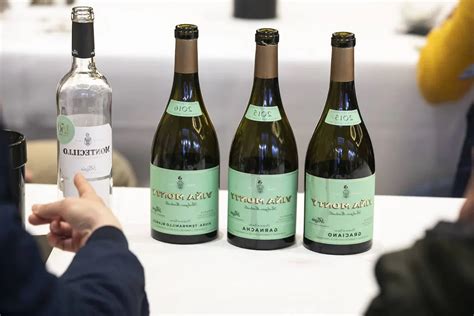 Mejores Bodegas en La Rioja | Bodegas Blanca Reyes