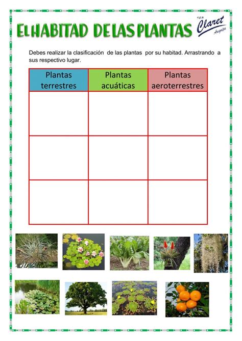 Habitad De Las Plantas Worksheet Montessori Practical Life Practical