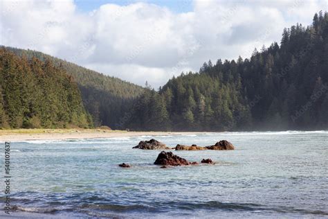 Sandy Beach On Pacific Ocean Coast View Sunny Blue Sky San Josef Bay