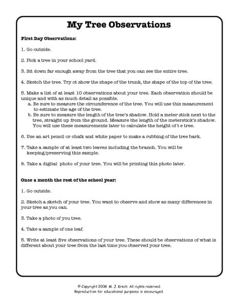 My Tree Observations Worksheet For 5th 7th Grade Lesson Planet