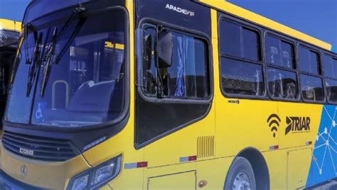 Arauc Ria Passa A Ter Novo Sistema De Transporte P Blico Saiba O Que Muda