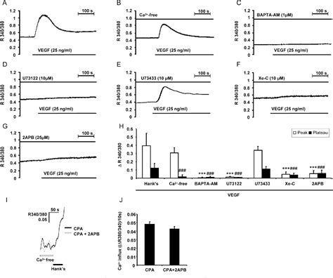 Figure From Vegf Induced Retinal Angiogenic Signaling Is Critically