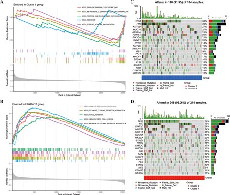 Molecular Characteristics Analysis Between Two Clusters A B GSEA