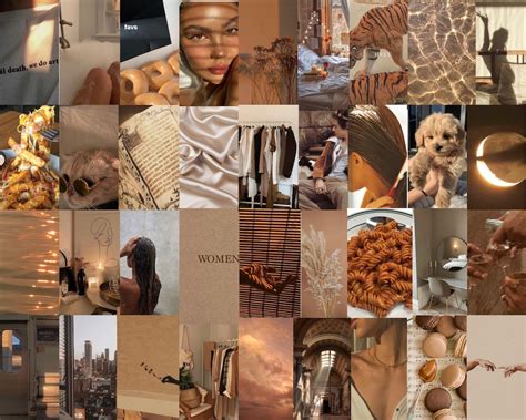 Beige Wall Collage Kit Nude Aesthetic Wall Collage Kit Tan Etsy