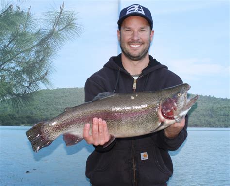 Collins Lake Browns Valley Ca Fish Reports Map