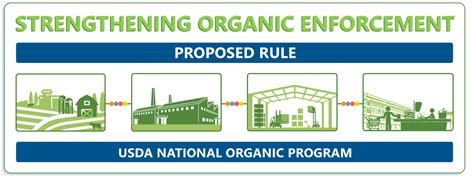 Strengthening Organic Enforcement Soe Rule Vegetable Growers News