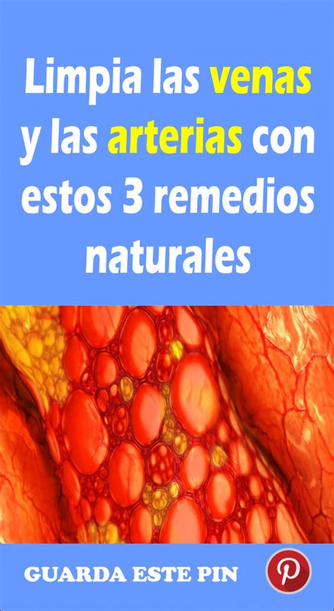 Limpia Las Venas Y Las Arterias Con Estos 3 Remedios Naturales TU