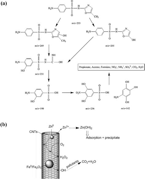 A Degradation Pathway Of Sulfamethoxazole SMX By Zn Fe CNTs O 2 And