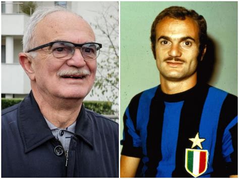 Old School Panini: The MAZZOLA Family, 43% OFF