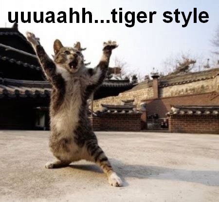 Funny Kung Fu Quotes. QuotesGram