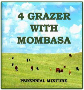 Grazer With Mombasa Perennial Mixture Forage Pasture Seeds Brasuda