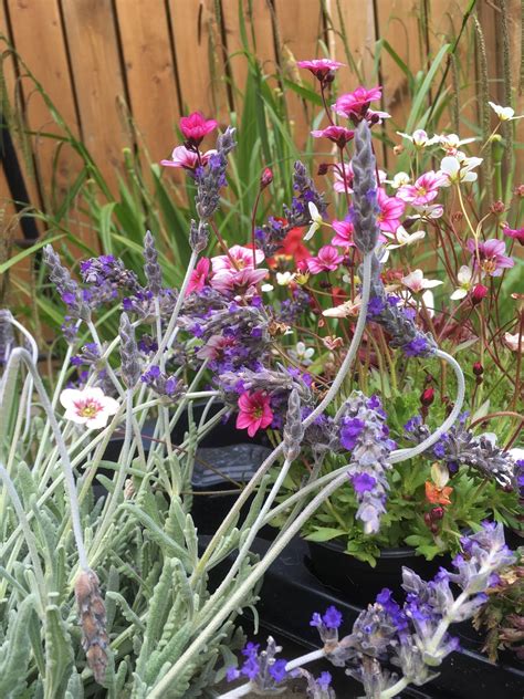 Maggie May Studio added a new photo. - Maggie May Studio