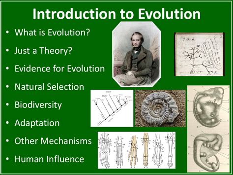 Introduction To Evolution Student Presentation Science 7th Grade