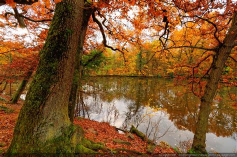 Les Couleurs De Lautomne Dans Le Bois De Vincennes Photo