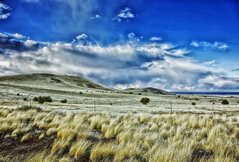 New Mexico State Grass Geobop’s Symbols