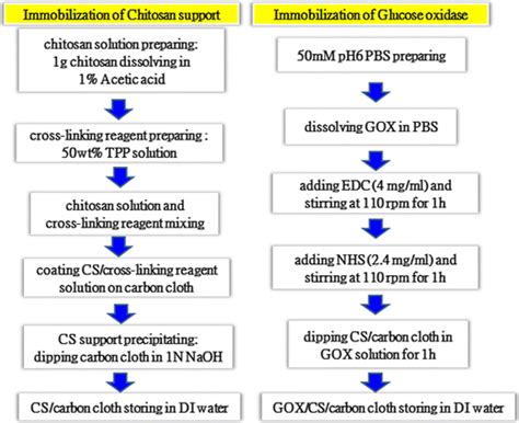 Enzyme Immobilization Process Flowchart Download Scientific Diagram