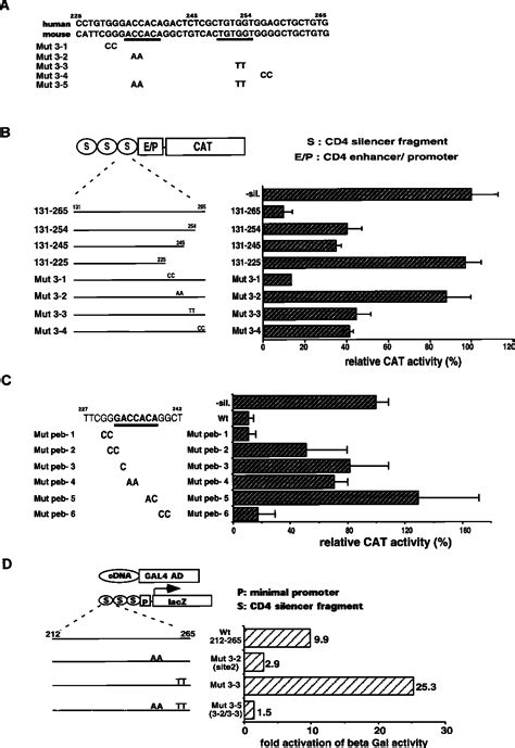 Differential Requirements For Runx Proteins In CD4 Repression And