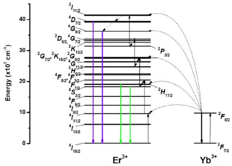 Energy Level Diagrams Of Yb And Er Ions And Possible Uc