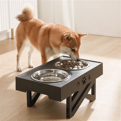 Double Raised Dogs Bowls Elevated Food Water Feeders Bowls Juhi