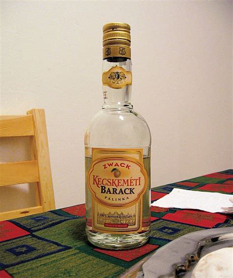 Palinka - word famous Hungarian drink with recipe | Schnapps, Drinks, Famous drinks