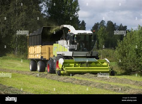 Claas Jaguar Self Propelled Forage Harvester Chopping Grass And