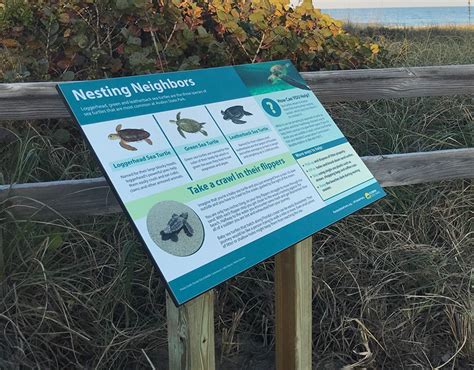 Nesting Neighbors Sea Turtle Interpretive Signage Behance