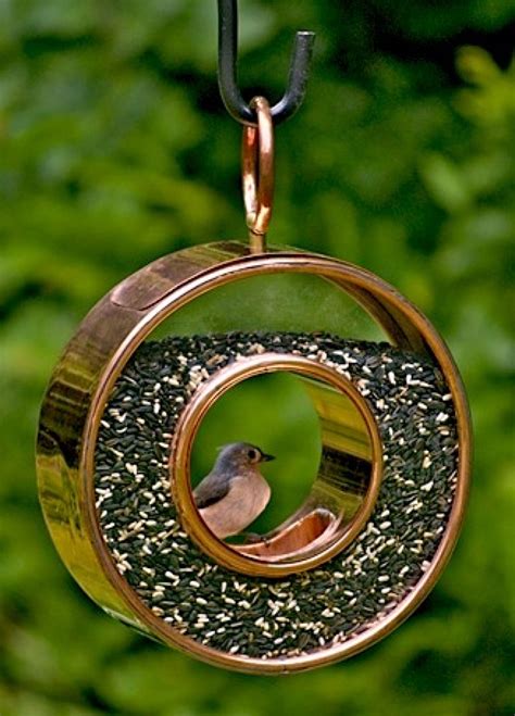 Unusual Wild Bird Feeders Unique Rare Bird