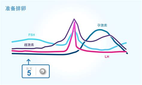 月经后几天是排卵期