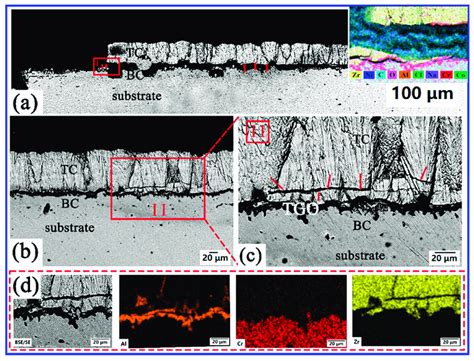 A C The Cross Sectional Morphologies Of YSZ Coating Treated With NaCl