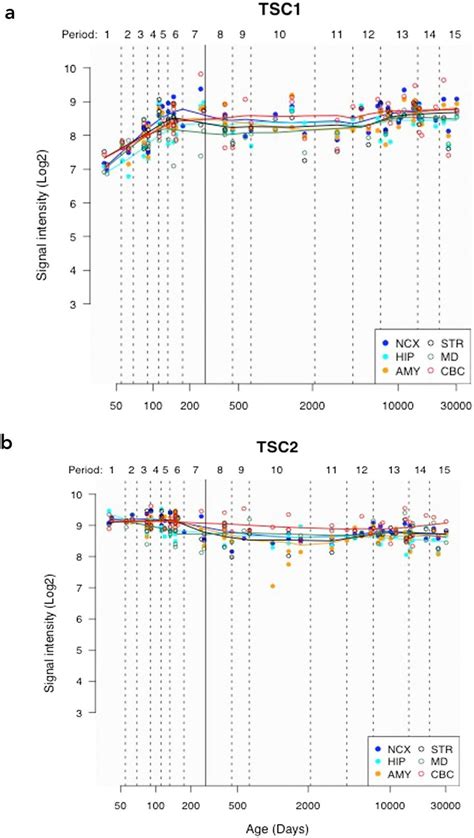 Line Plots Showing Tsc1 A And Tsc2 B Gene Expression Over Time