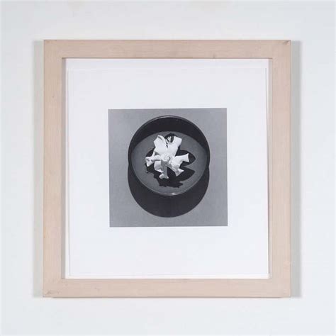 Robert Mapplethorpe Black and White Photography - 5 For Sale at 1stDibs ...