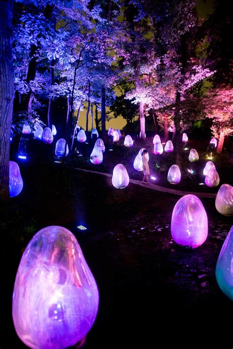 Une Installation Immersive Prend Le Contr Le Dun Jardin Botanique