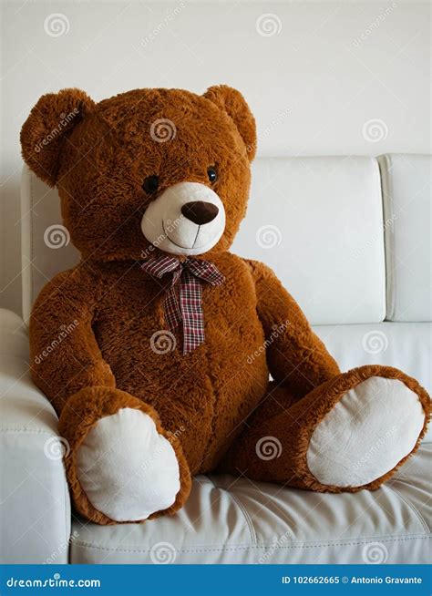 Lovely Teddy Bear Sitting On A Sofa Stock Image Image Of Cheerful