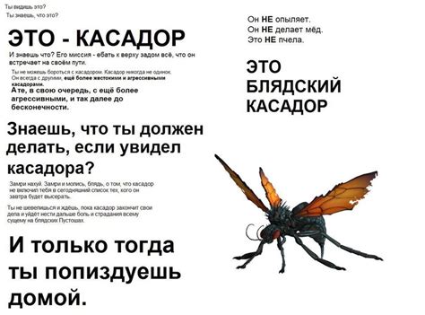 ﻿Ты видишь это? Ты знаешь, что это? ЭТО - КАСАДОР И знаешь что? Его ...