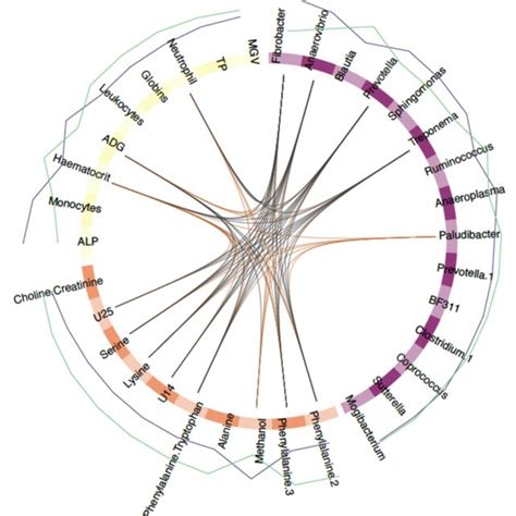 Circos plot showing features best discriminating between infected ... 