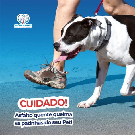 Cuidado Asfalto Quente Queima As Patinhas Do Seu Pet Cl Nica