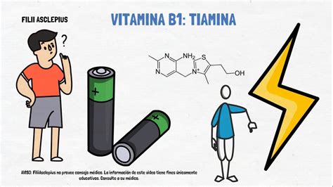 Vitamina B Qu Es Para Qu Sirve Y Cu Les Son Los S Ntomas De Su