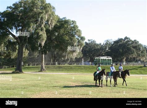 Ocala Floridaracehorse Studstable Devoted To Training Yearling