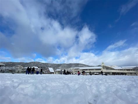 1月 雪が降りました！ 石巻市立鹿妻小学校