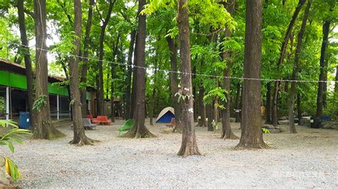 屏東潮州 新八大森林生態露營樂園 營區介紹 露營樂