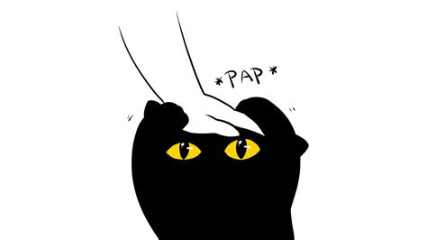 Cat Pap | Know Your Meme